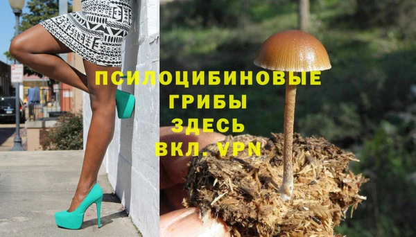 кокаин колумбия Каменногорск