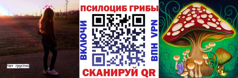 Купить где  Дзержинский  Галлюциногенные грибы мухоморы 
